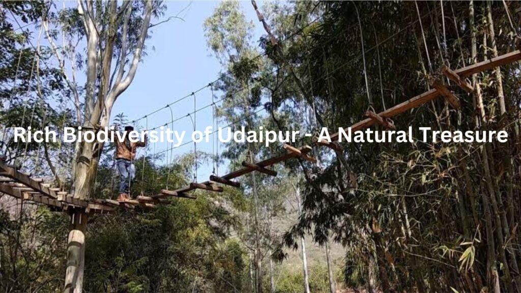 Rich Biodiversity of Udaipur - A Natural Treasure