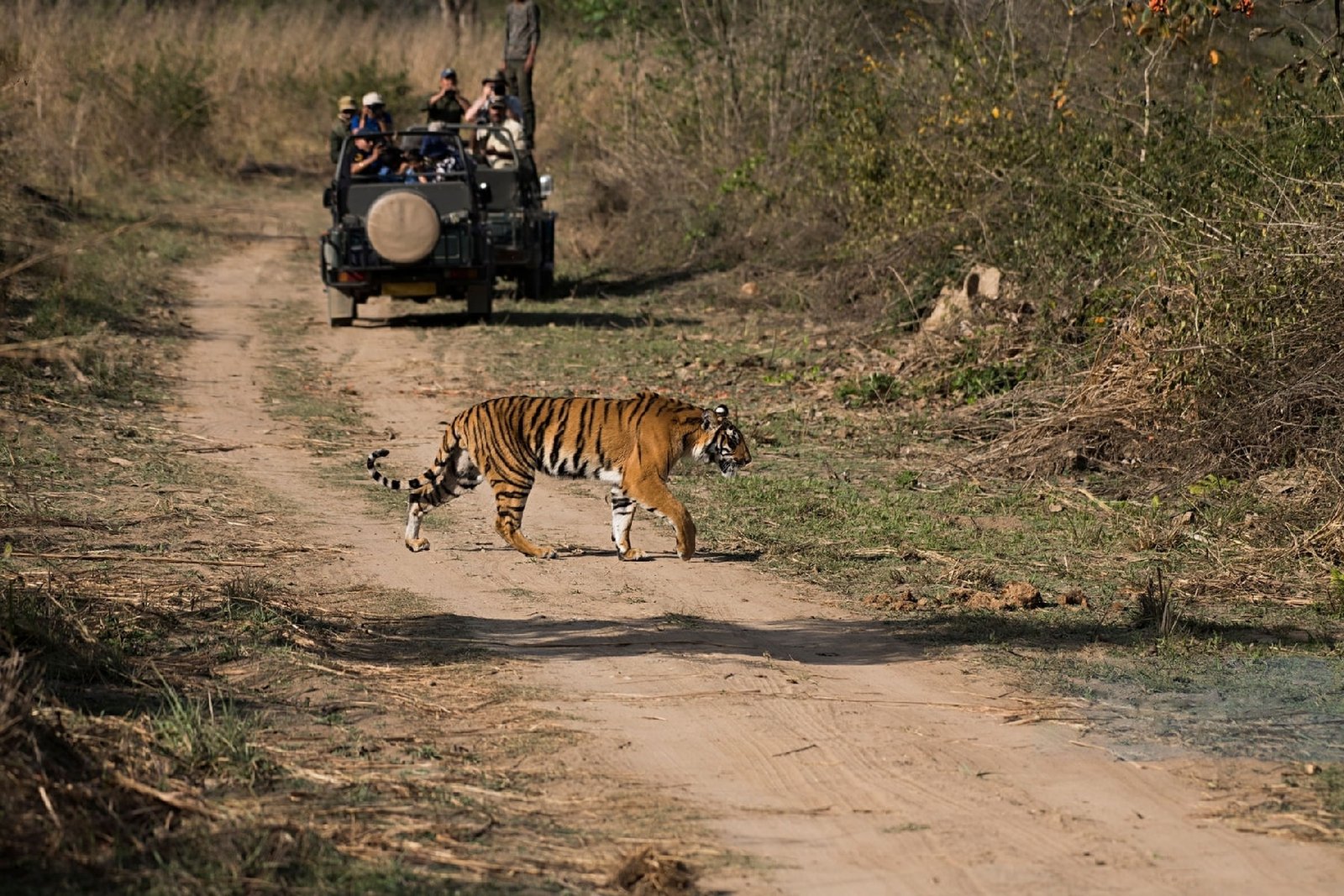 Must-Visit Destinations in Rajasthan - Unforgettable Escapes for a Royal Sojourn